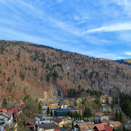 Appartement Apartament Panoramic View Sinaia Extérieur photo
