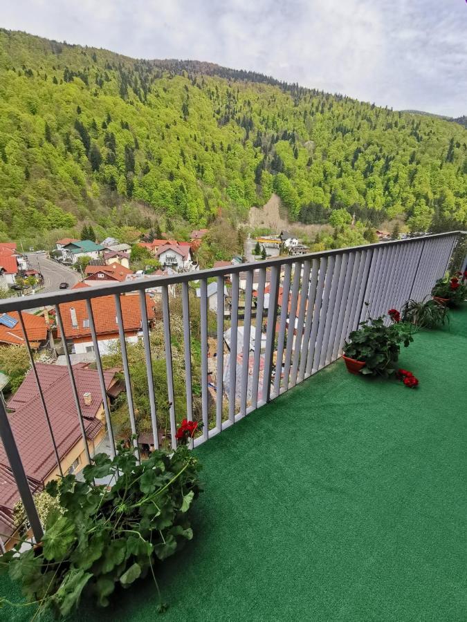 Appartement Apartament Panoramic View Sinaia Extérieur photo