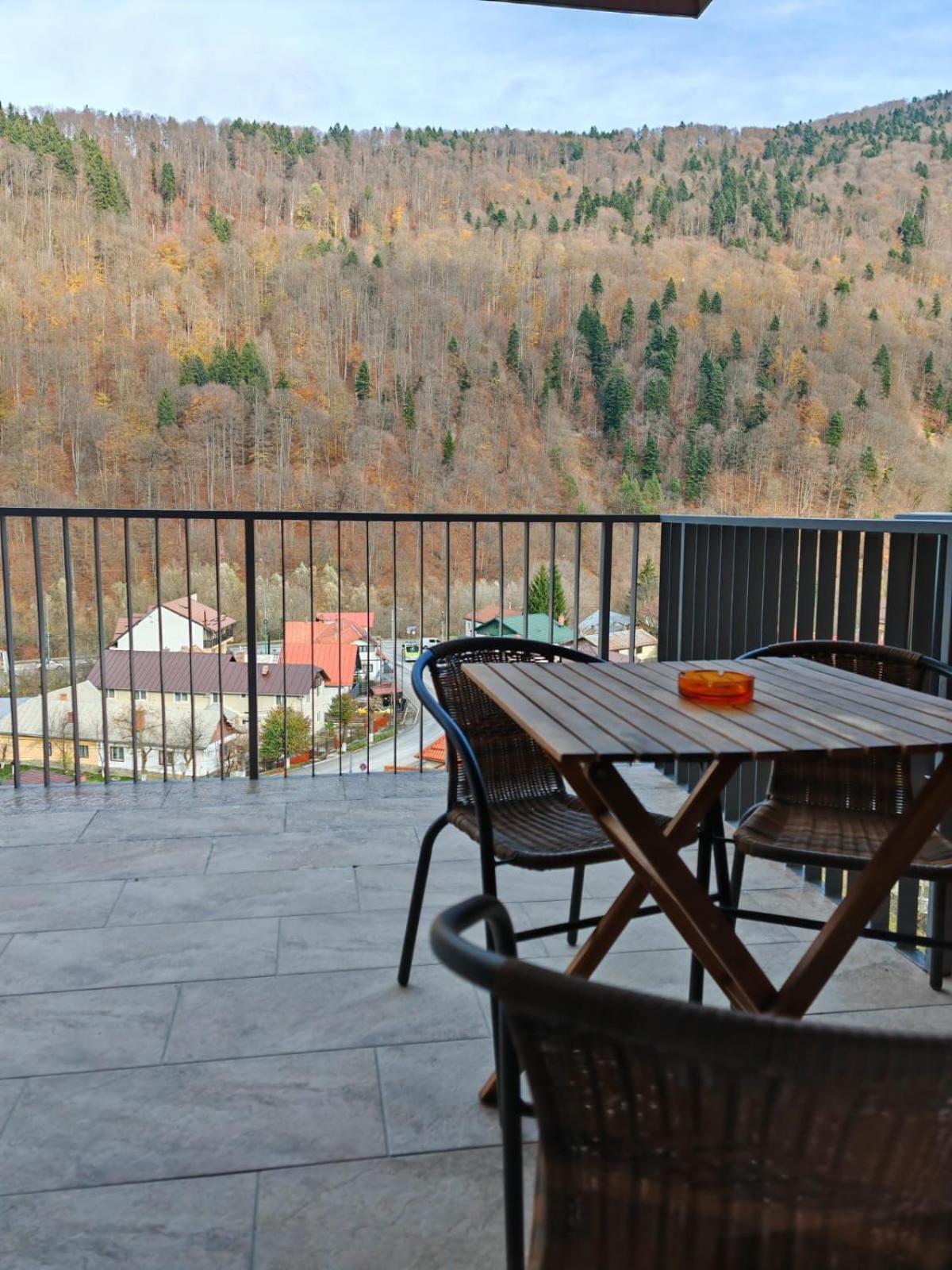 Appartement Apartament Panoramic View Sinaia Extérieur photo