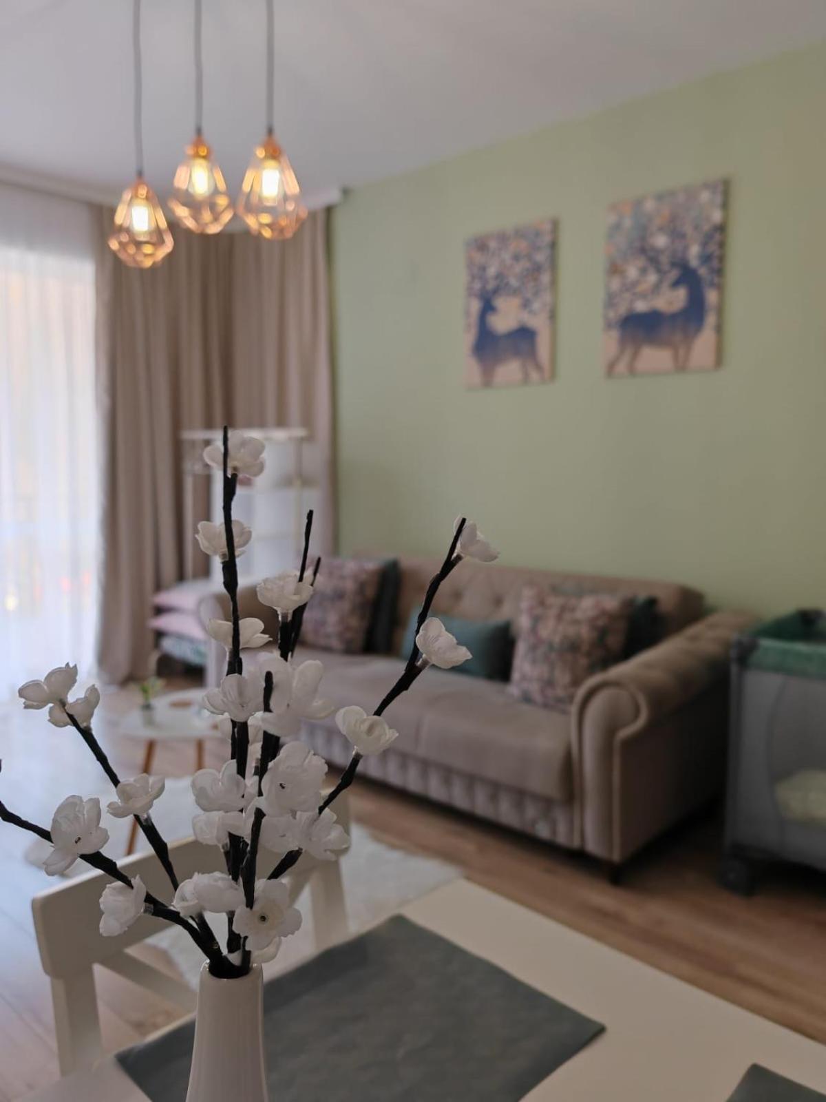 Appartement Apartament Panoramic View Sinaia Extérieur photo